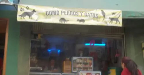 COMO PERROS Y GATOS TUNALITO COMO PERROS Y GATOS TUNALITO